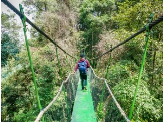 Stadtführung durch Medan und Transfer nach Bukit Lawang