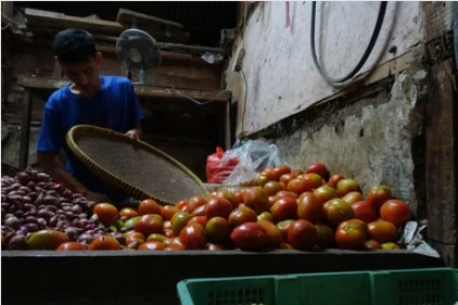 Wanderung zu den Orang Utans