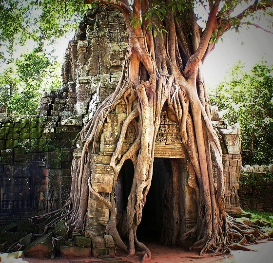 Die Irrawaddy - Delfine in Kratie beobachten