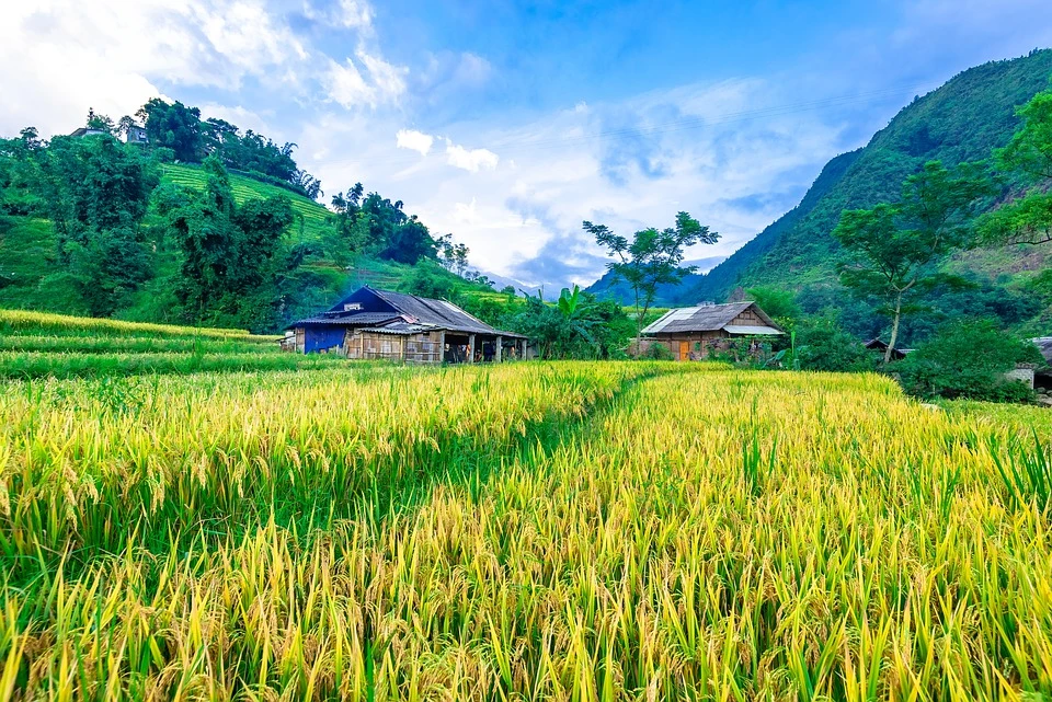 Das alltägliche und ländliche Leben der Vietnamesen kennenlernen
