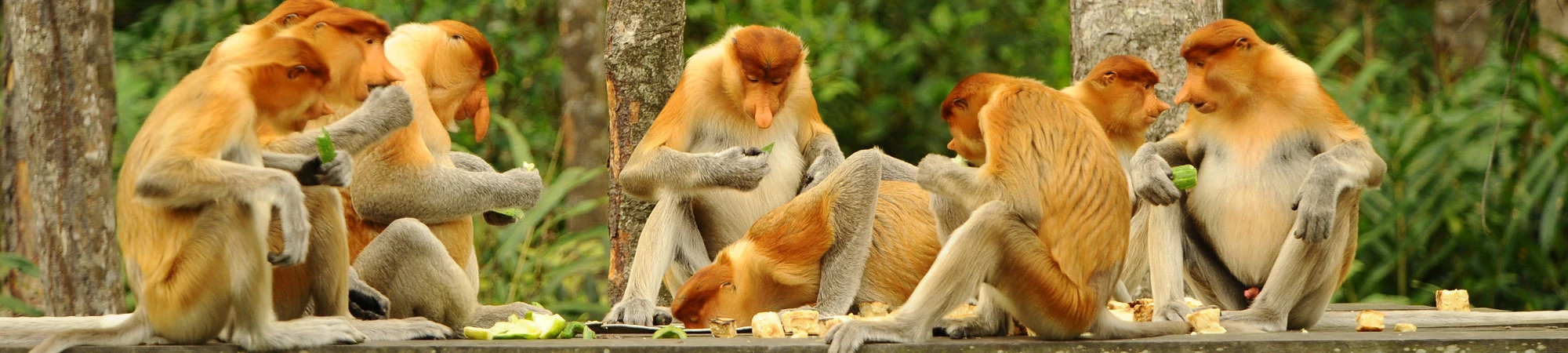 Tiêu đề ở phần bài đánh giá chi tiết
