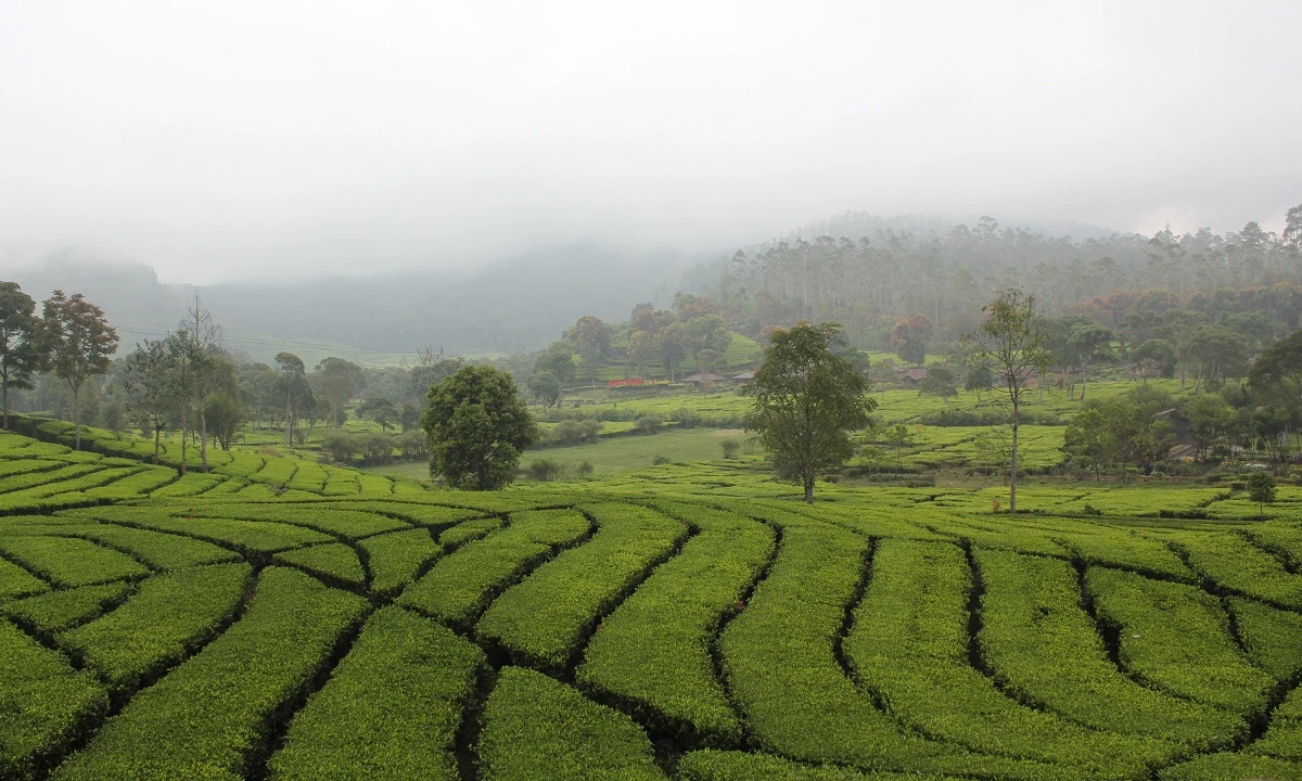Javas Facettenreichtum & Bali Strandparadies