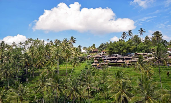 Private Kombinationsreise Bali & Singapur