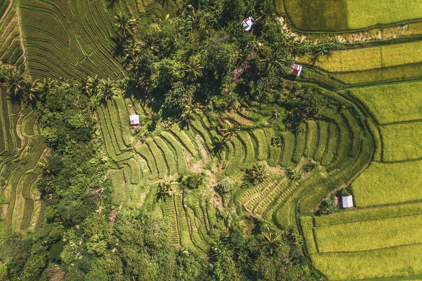 Bali Basic - Bali für Erstbesucher
