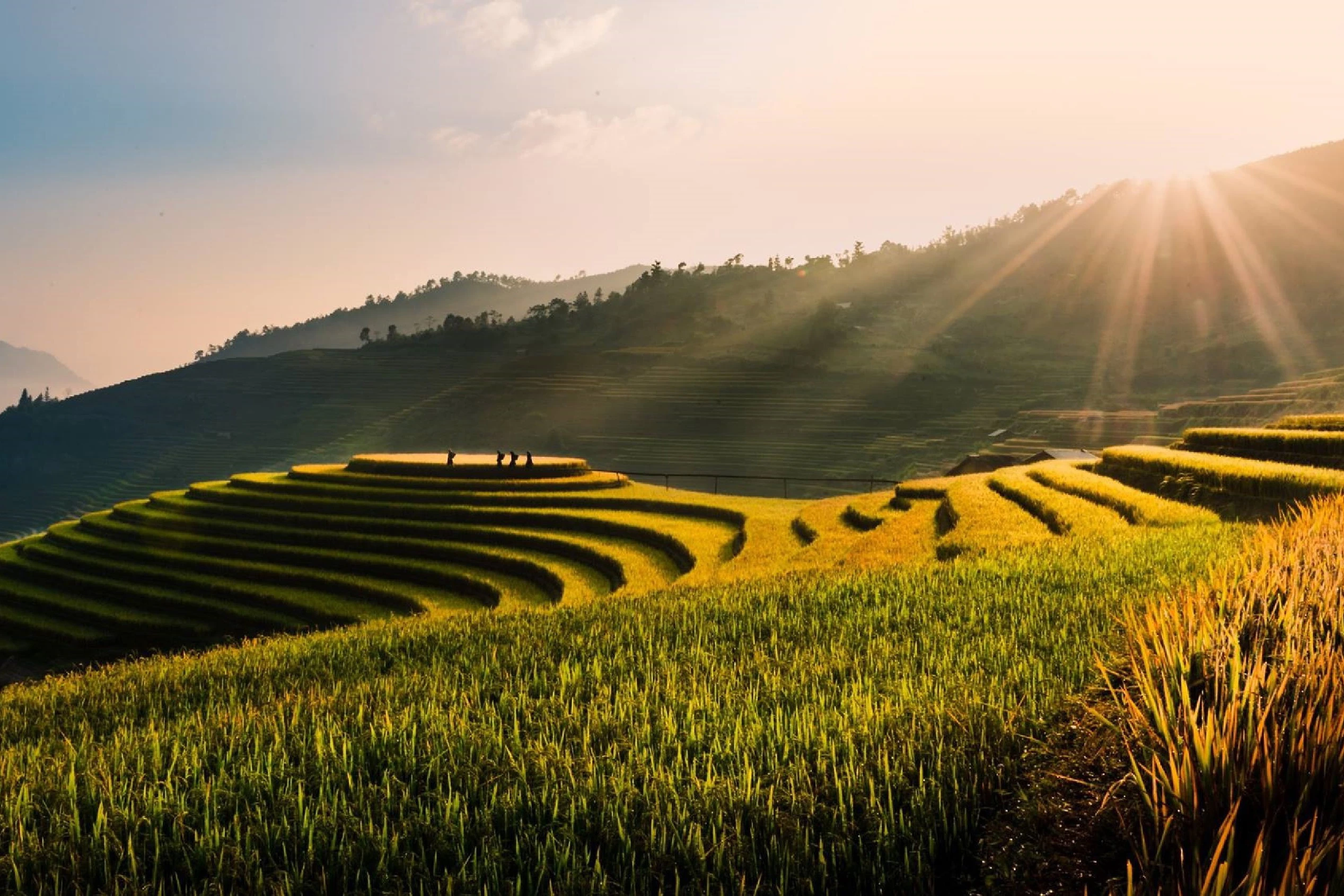 Privatreise  Highlights Vietnam mit Sapa und Badeurlaub in Mui Ne/Phan Thiet 21 Tage