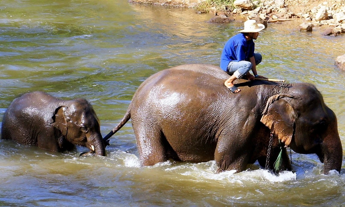 Entdeckerreise Laos
