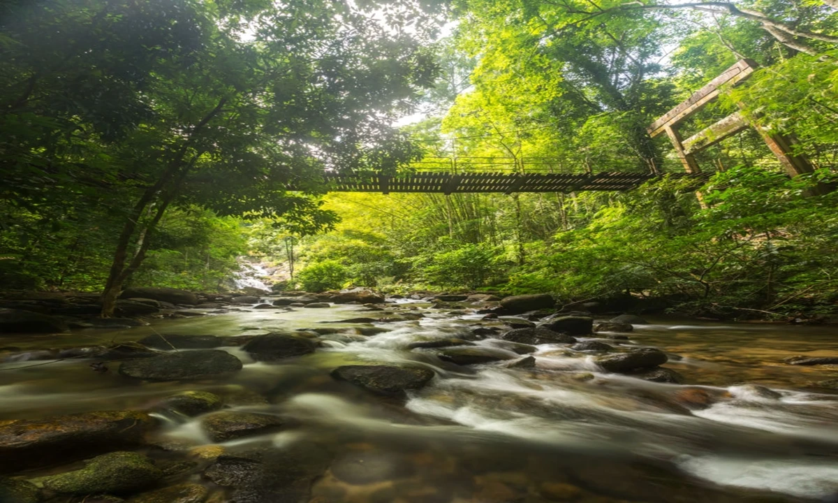 Küstenkreuzfahrt durch das Mergui Archipel