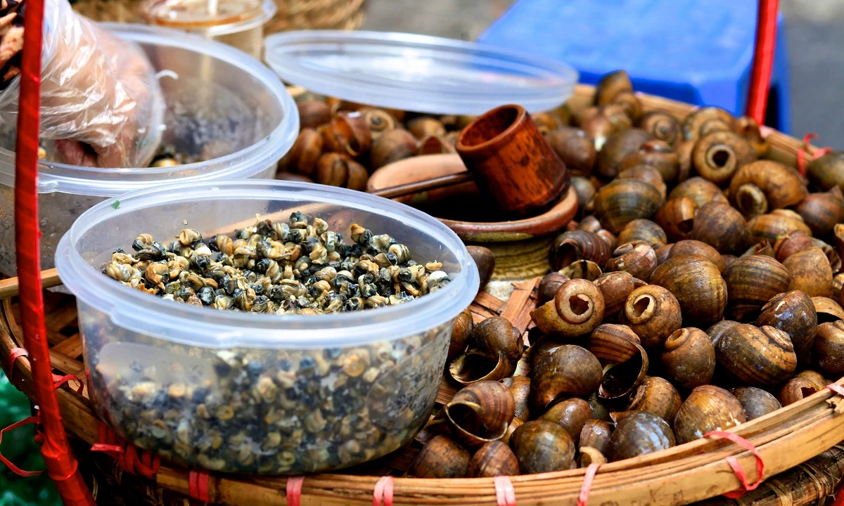 Höhepunkte Vietnams und Kambodschas