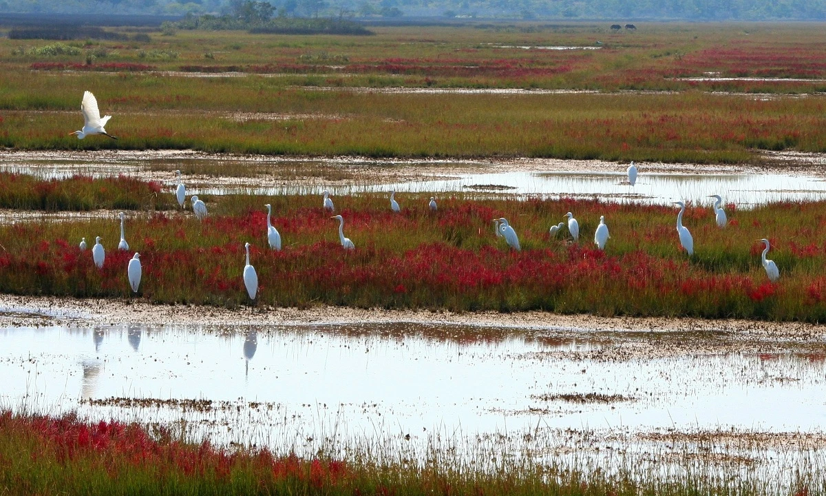 Verborgene Naturschätze Vietnams mit Mekongfahrt nach Kambodscha