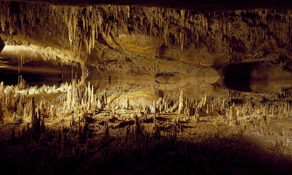Den Zauber von Malaysia und Borneo erleben