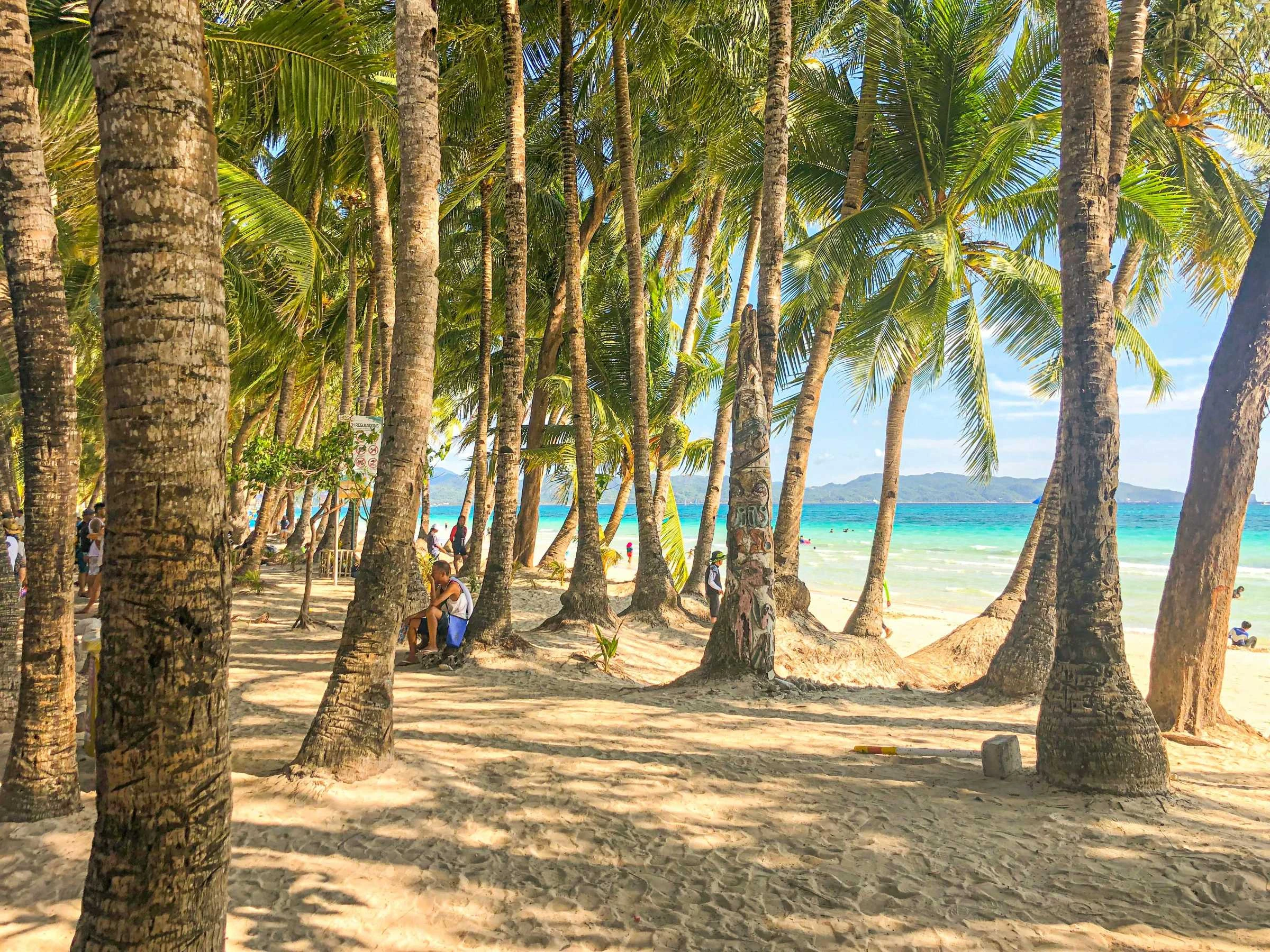 Boracay und Bohol