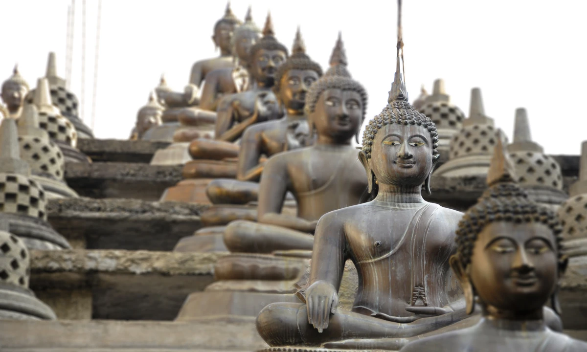 Sri Lanka Faszination – Entdeckungsreise & Nord‑Abstecher