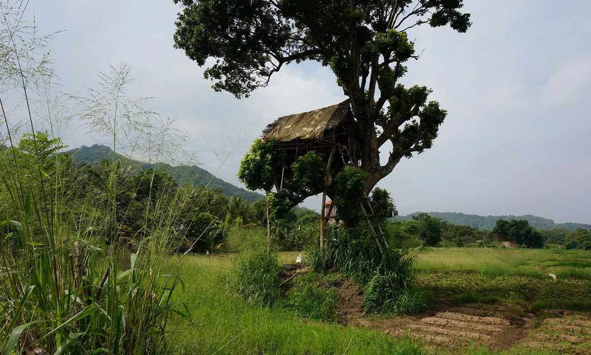 Kulturelles Erbe und natürliche Schönheit Sri Lankas mit Baden auf den Malediven