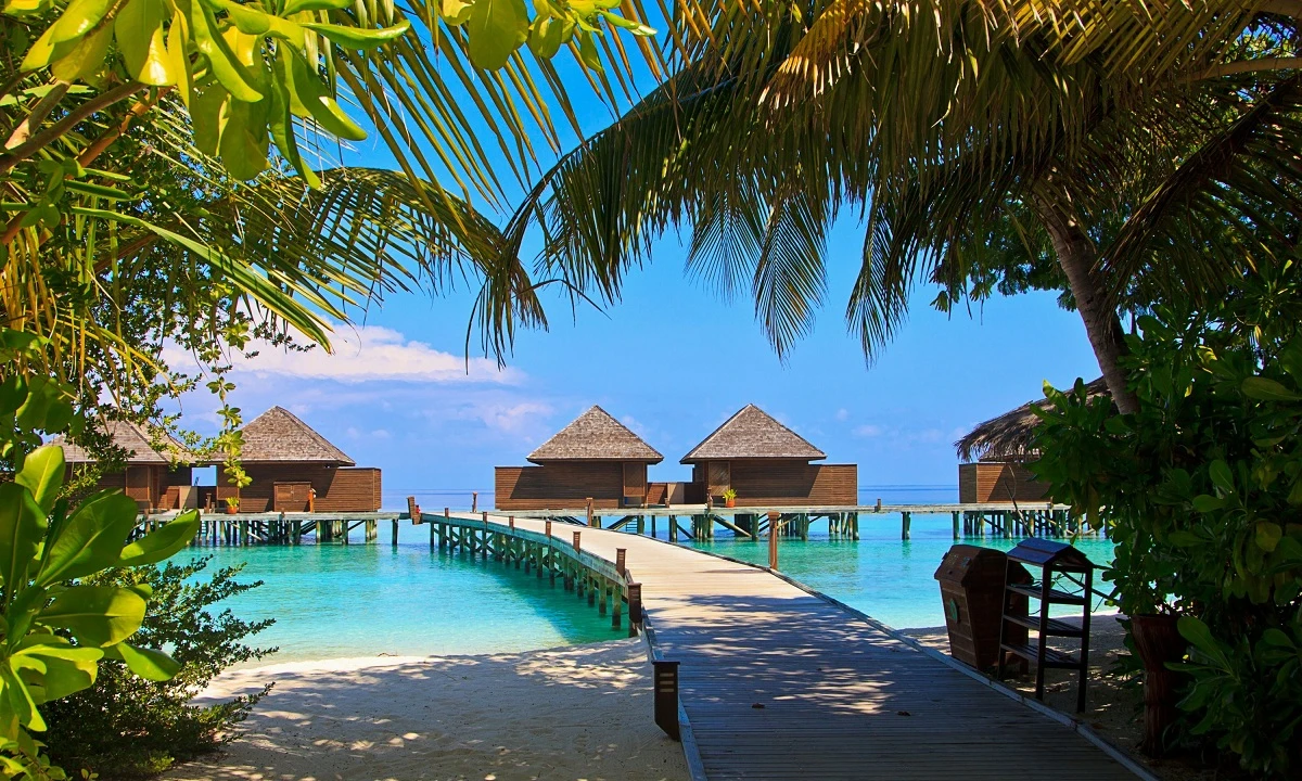 Kulturelles Erbe und natürliche Schönheit Sri Lankas mit Baden auf den Malediven