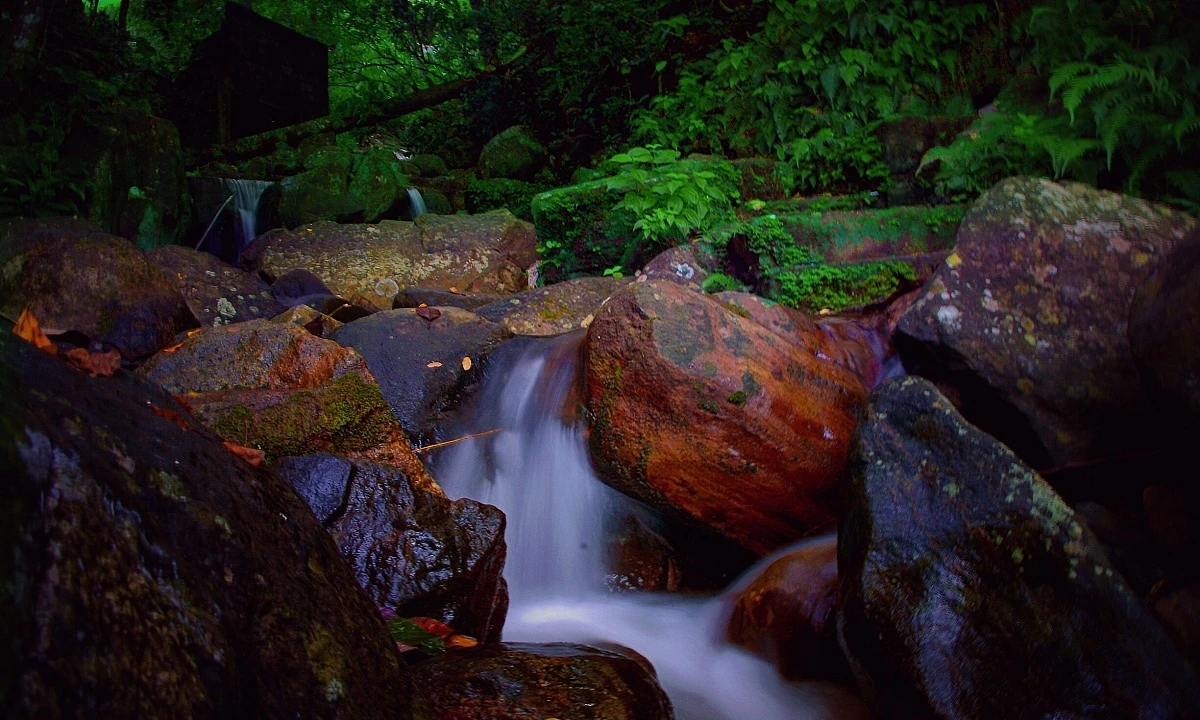 Kulturelles Erbe und natürliche Schönheit Sri Lankas mit Baden auf den Malediven