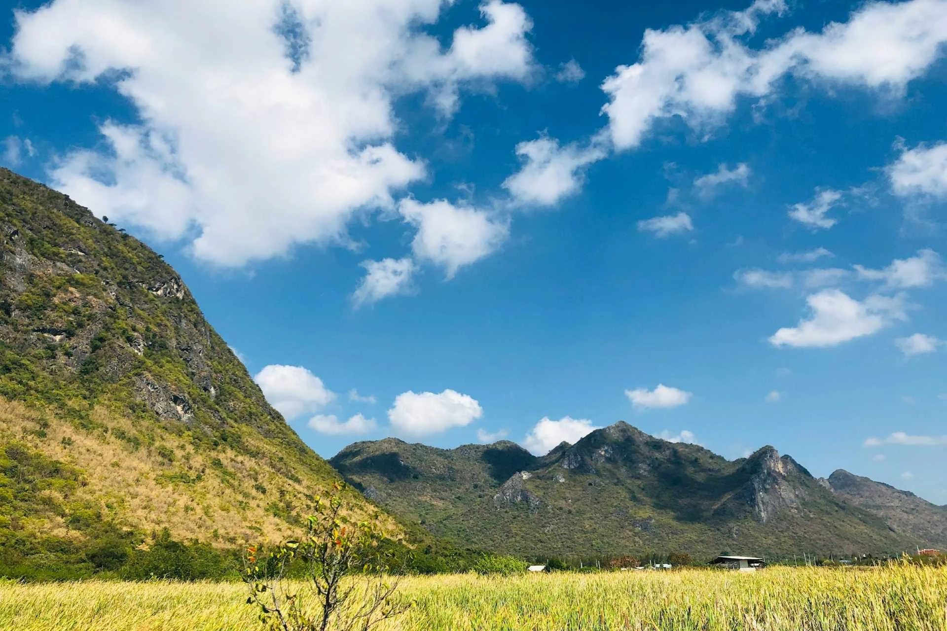 Thailand Süd & Dschungel – Von Bangkok zum Khao Sok