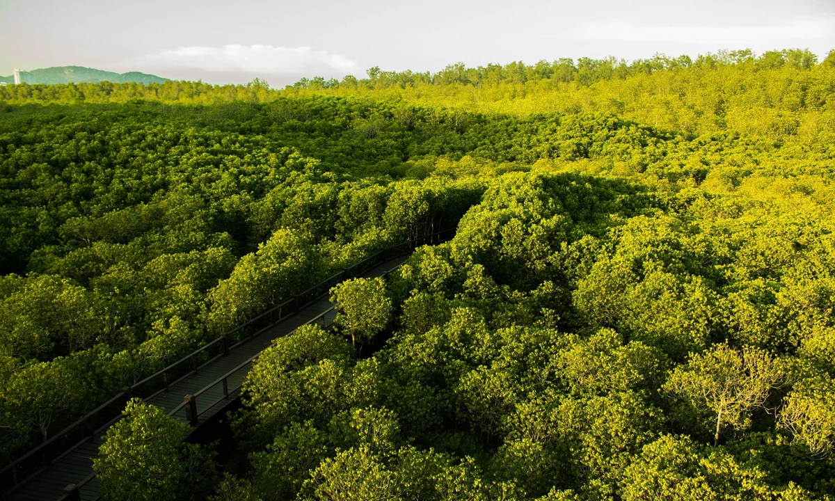 Thailand Süd & Dschungel – Von Bangkok zum Khao Sok